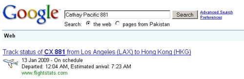 Google Flight status