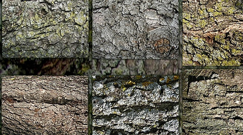 200+ Excellent Free High Quality Tree Bark Textures