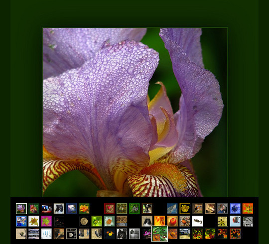 40 Amazing Tools To Enhance Your Flickr Experience 16