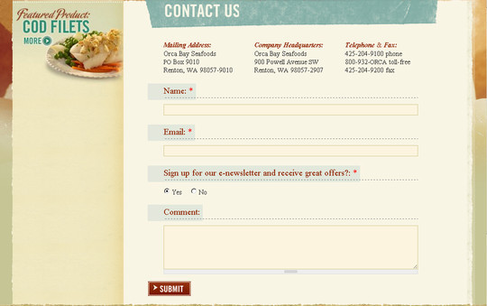 Showcase Of Effective And Creatively Designed Contact Forms 35