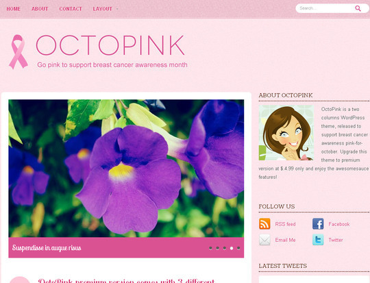Best Of 2011: A Beautiful Collection Of 50 Free WordPress Themes 42
