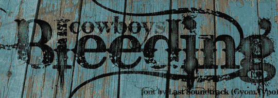 20 Creative Grunge Fonts To Download 12