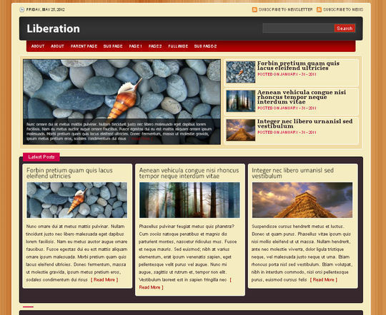 40 Excellent 3 Column WordPress Themes For Free Download 9