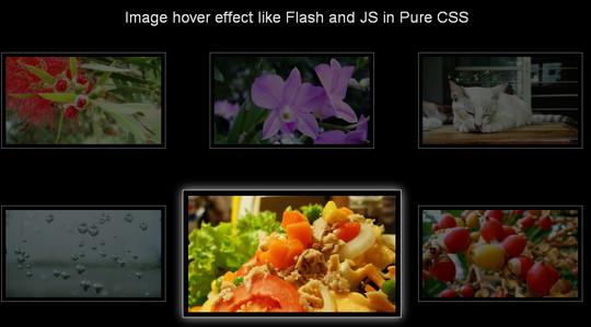 12 Free And Amazing CSS3 Image Hover Effects For Downloads 3