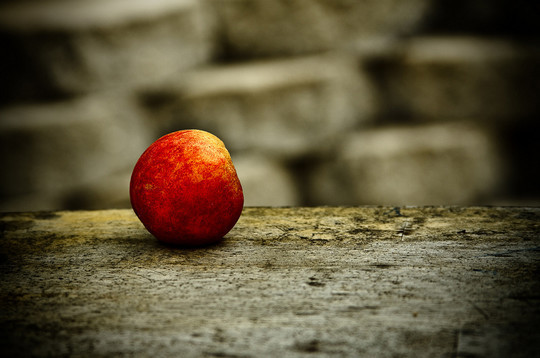 44 Outstanding Examples Of Still Life Photography 5