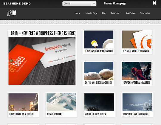 Collection of Free And Premium WordPress Themes With Grid Layouts 3