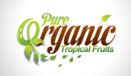Collection of Inspiring Organic Logo Designs 33