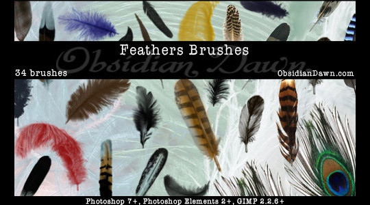 24 Free Photoshop Feather Brushes For Download 2