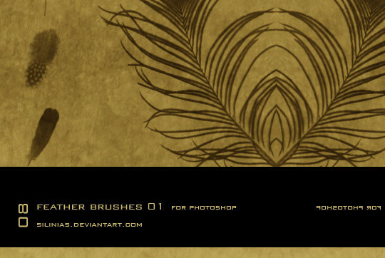 24 Free Photoshop Feather Brushes For Download 18