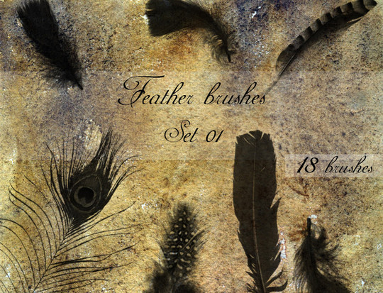 24 Free Photoshop Feather Brushes For Download 3