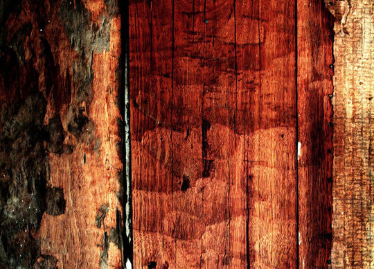 19 Useful And Realistic Wood Textures 19