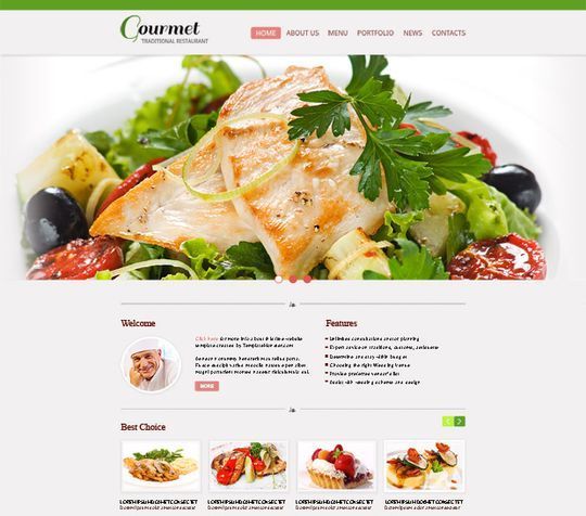 50 High Quality Free HTML5 And CSS3 Web Templates 2