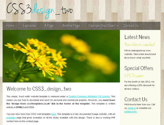 50 High Quality Free HTML5 And CSS3 Web Templates 13