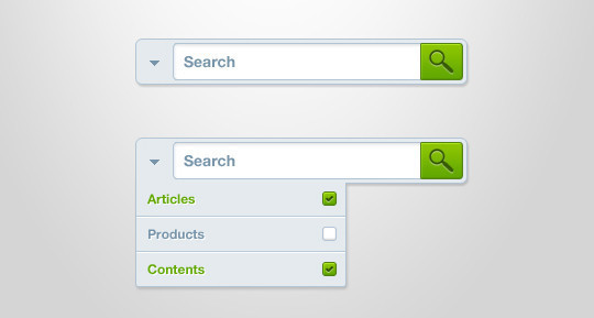 36 Useful Search Box Designs In Photoshop Format 5