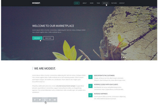40 High Quality Yet Free Website Templates PSDs 26