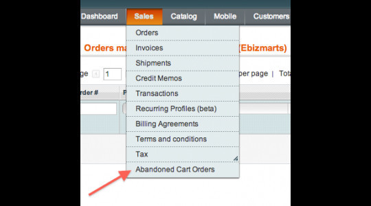10 Essential Magento Extensions You May Need 4