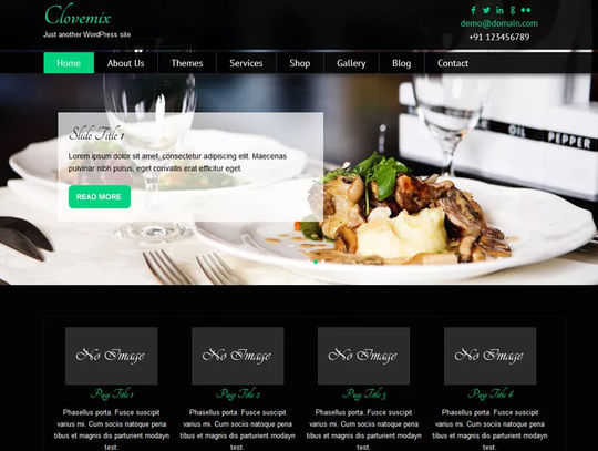 12 Free Food & Restaurant WordPress Themes 12