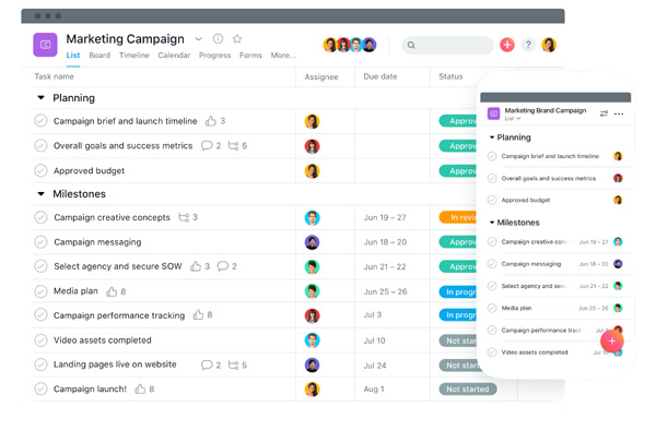 Asana team, project and task management