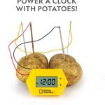 potato battery kit