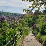 Get amazing views of Prague from best-kept secret gardens virtual tourism experiences