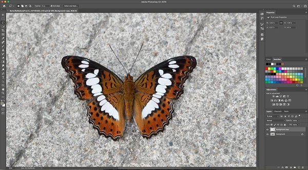 Adobe Photoshop | Photo, image, and design editing software - Image 3