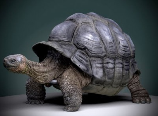 The Most Stunning Examples of 3D Animal Artworks