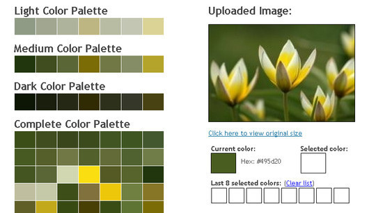 45 Color Tools And Resources For Choosing The Best Color Palette For Your Designs 30