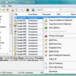 passwordsoftwares1
