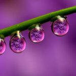 rainywallpapers44