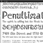 fontwordPressplugins6