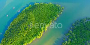 Green mangrove forests islands