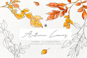 Autumn Leaves