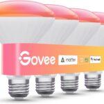 Govee-BR30-1