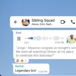 WhatsApp Voice Message Transcription Feature